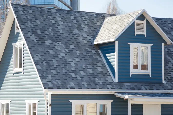 Roof repair service